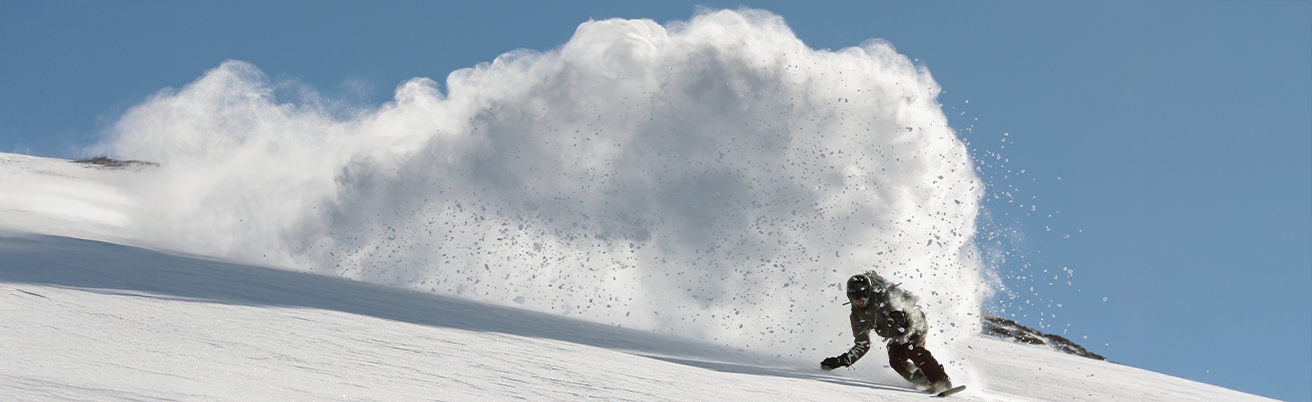 1312x402-Snowflake 1312x402-Snowflake